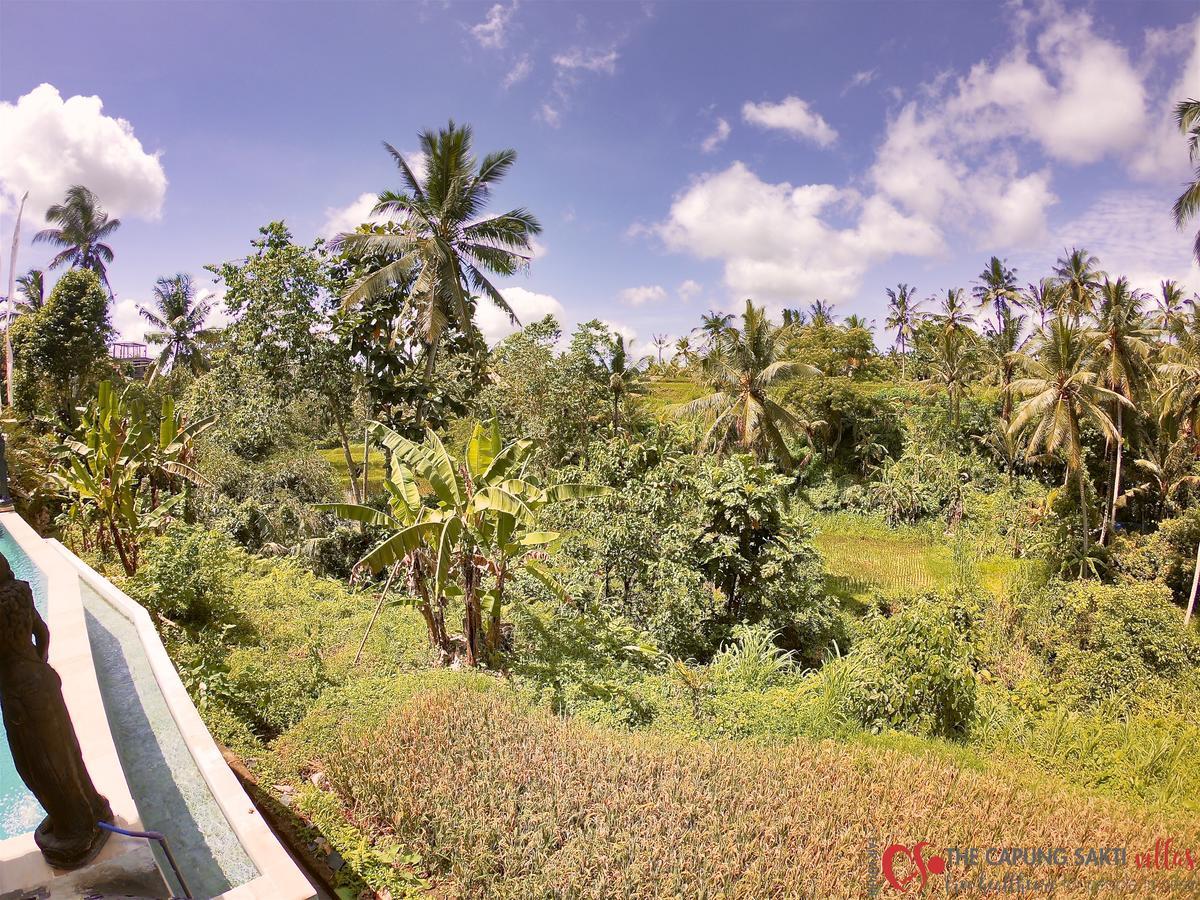 Capung Sakti Villas ウブド エクステリア 写真