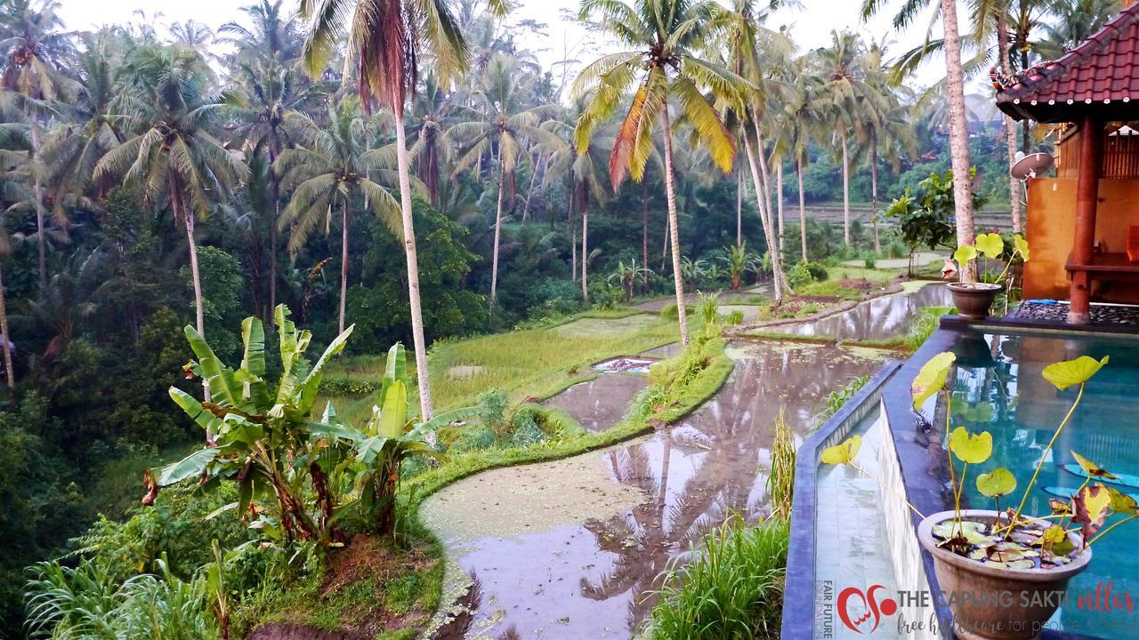 Capung Sakti Villas ウブド エクステリア 写真