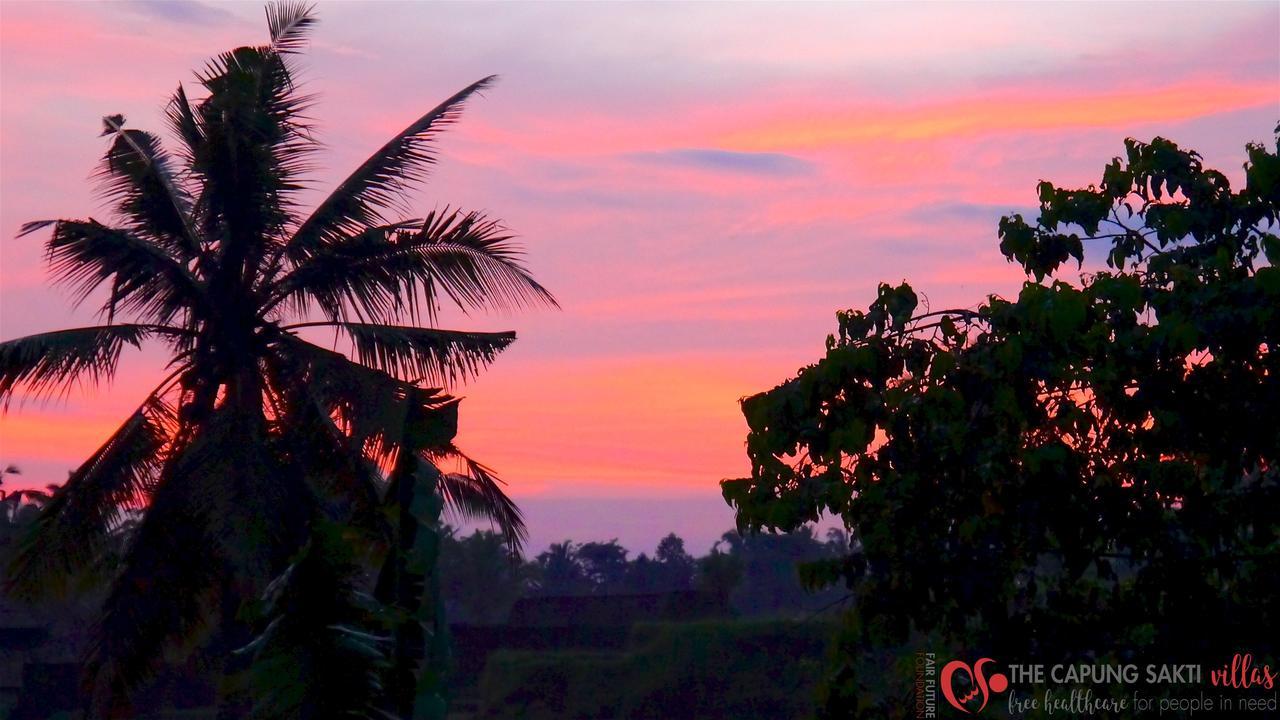 Capung Sakti Villas ウブド エクステリア 写真