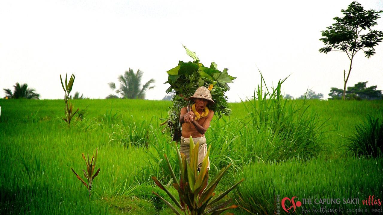 Capung Sakti Villas ウブド エクステリア 写真