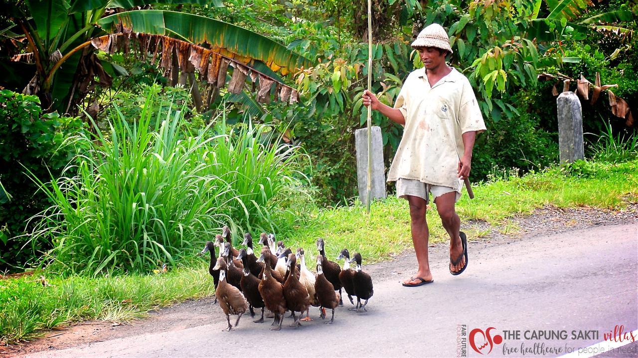 Capung Sakti Villas ウブド エクステリア 写真