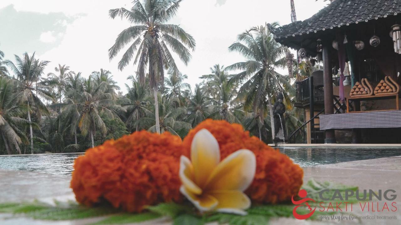 Capung Sakti Villas ウブド エクステリア 写真